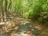 TR 3B Wolf Pen Gap Road - Photo 12