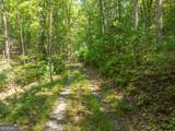 TR 3B Wolf Pen Gap Road - Photo 13