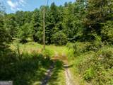TR 3B Wolf Pen Gap Road - Photo 20