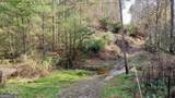 TR 3B Wolf Pen Gap Road - Photo 21