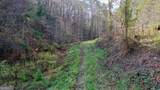 TR 3B Wolf Pen Gap Road - Photo 22