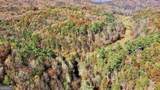 TR 3B Wolf Pen Gap Road - Photo 24