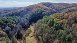 TR 3B Wolf Pen Gap Road - Photo 27