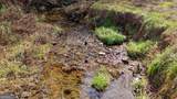 TR 3B Wolf Pen Gap Road - Photo 31