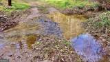 TR 3B Wolf Pen Gap Road - Photo 34