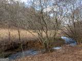 TR 3B Wolf Pen Gap Road - Photo 41