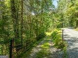 TR 3B Wolf Pen Gap Road - Photo 8