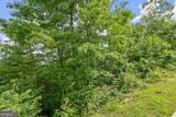 LOT 12A Winterberry Trail - Photo 7