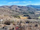 1264 Harris Ridge Road - Photo 47