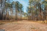 28.61 ACRES Sandy Creek Road - Photo 1