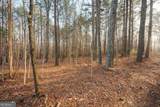 28.61 ACRES Sandy Creek Road - Photo 8