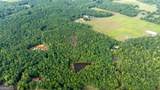 58.99 ACRES Bear Creek Road - Photo 4