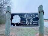 10 Gum Branch Circle - Photo 45