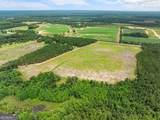 19.13 ACRES Highway 301 - Photo 10