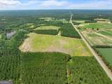 19.13 ACRES Highway 301 - Photo 11