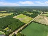 19.13 ACRES Highway 301 - Photo 12