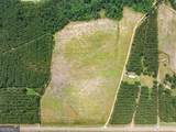 19.13 ACRES Highway 301 - Photo 13
