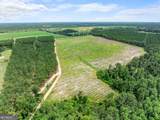 19.13 ACRES Highway 301 - Photo 16