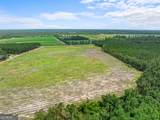 19.13 ACRES Highway 301 - Photo 17