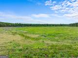 19.13 ACRES Highway 301 - Photo 19
