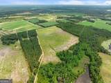 19.13 ACRES Highway 301 - Photo 6