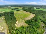 19.13 ACRES Highway 301 - Photo 7