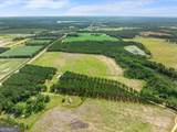 19.13 ACRES Highway 301 - Photo 8