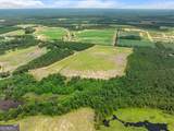 19.13 ACRES Highway 301 - Photo 9