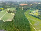 232 ACRES Old River Road - Photo 11