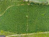 232 ACRES Old River Road - Photo 12