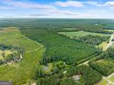 232 ACRES Old River Road - Photo 17