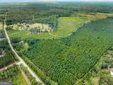 232 ACRES Old River Road - Photo 20