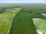 232 ACRES Old River Road - Photo 21
