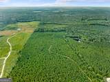 232 ACRES Old River Road - Photo 22