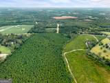 232 ACRES Old River Road - Photo 23