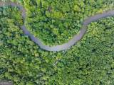 232 ACRES Old River Road - Photo 3
