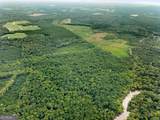 232 ACRES Old River Road - Photo 6