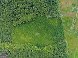 232 ACRES Old River Road - Photo 8
