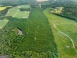 232 ACRES Old River Road - Photo 9