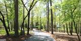 3125 Pine Mountain Circle - Photo 9