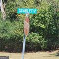 0 Scarlett Lane - Photo 9