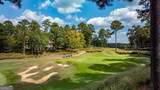 1031 Oliver Creek - Photo 12
