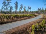 LOT 178 Vista Creek Drive - Photo 11