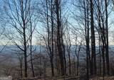 0 Big Creek Road - Photo 26