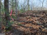 LOT 32R Woodring Branch Road - Photo 12