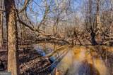 0 Oconee River, Bells Ferry Highway - Photo 32
