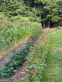 912 Folds Road - Photo 46