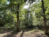 0 Stinchcomb Road - Photo 12