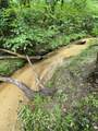 0 Stinchcomb Road - Photo 14
