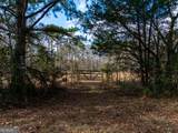 2.83 ACRES Williams Road - Photo 17